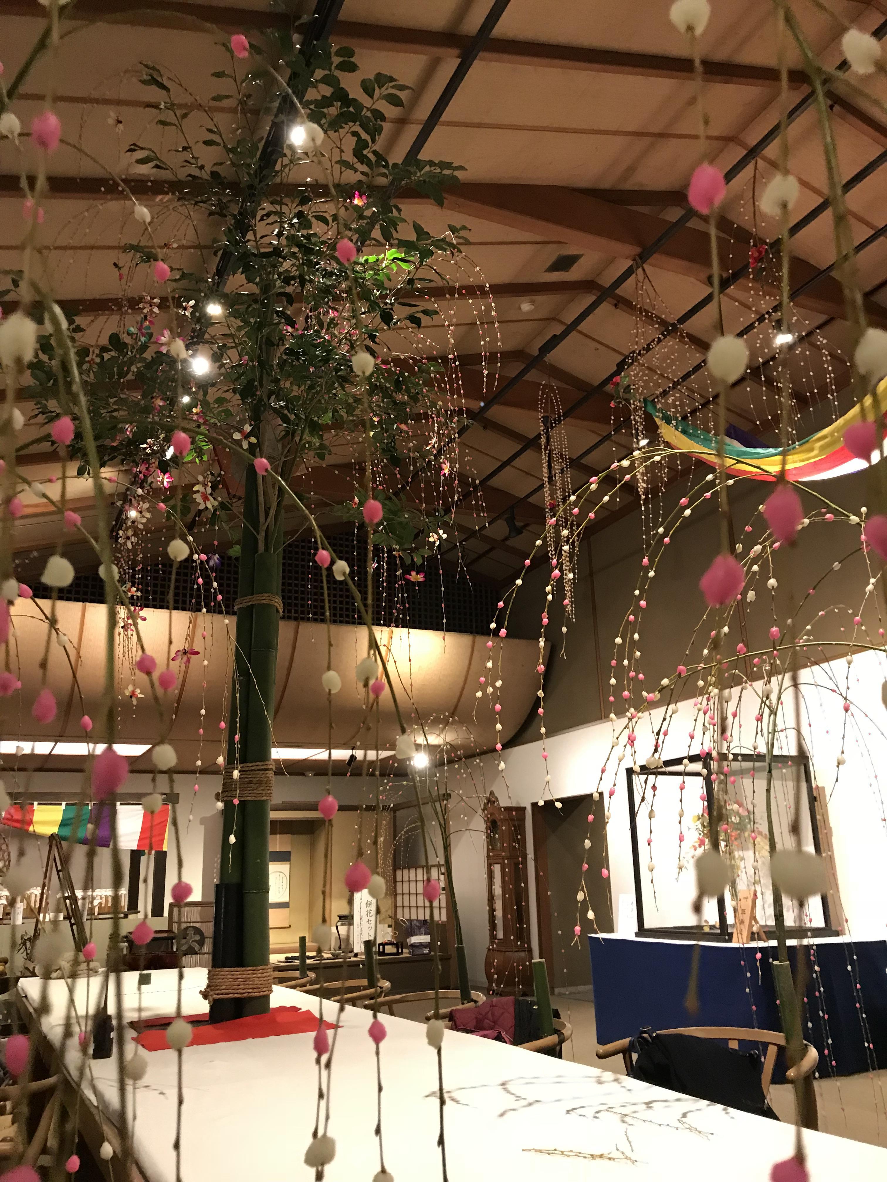 mochibana hanabi.JPG