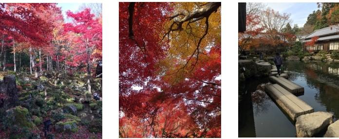 A day in Omihachiman