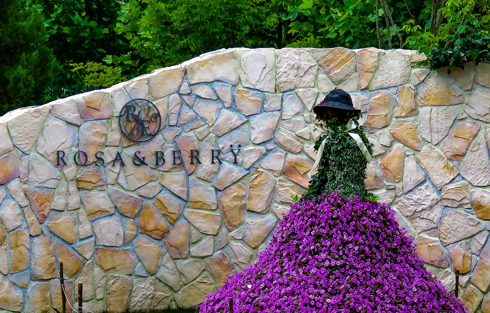 Rosa & Berry Tawada English Garden