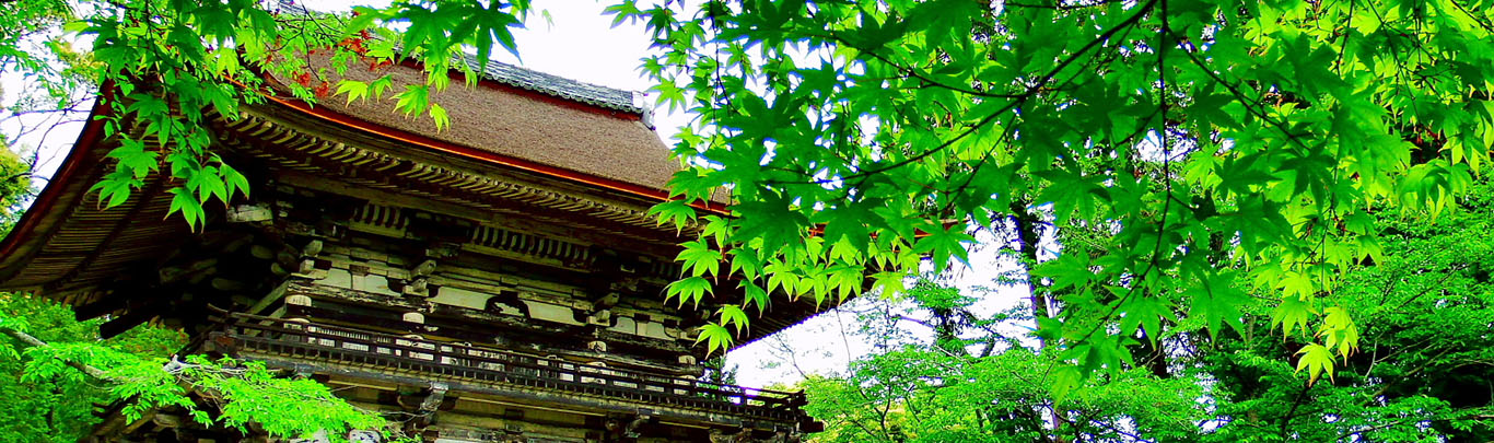 Discover Ancient Temples and Cross the Famous Seta Bridge