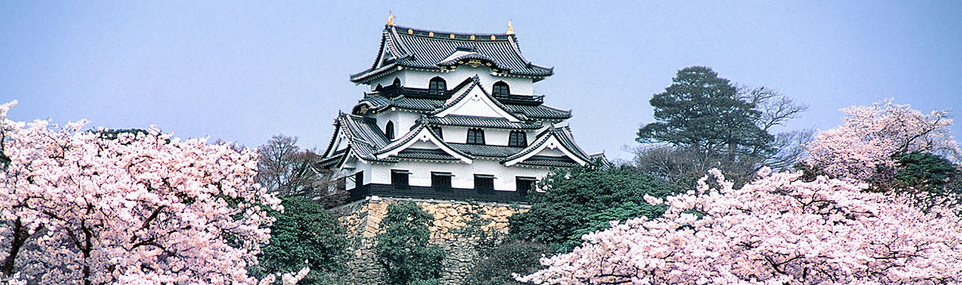 Revisit Shiga’s Past and Taste Seasonal Fruit in Yasu