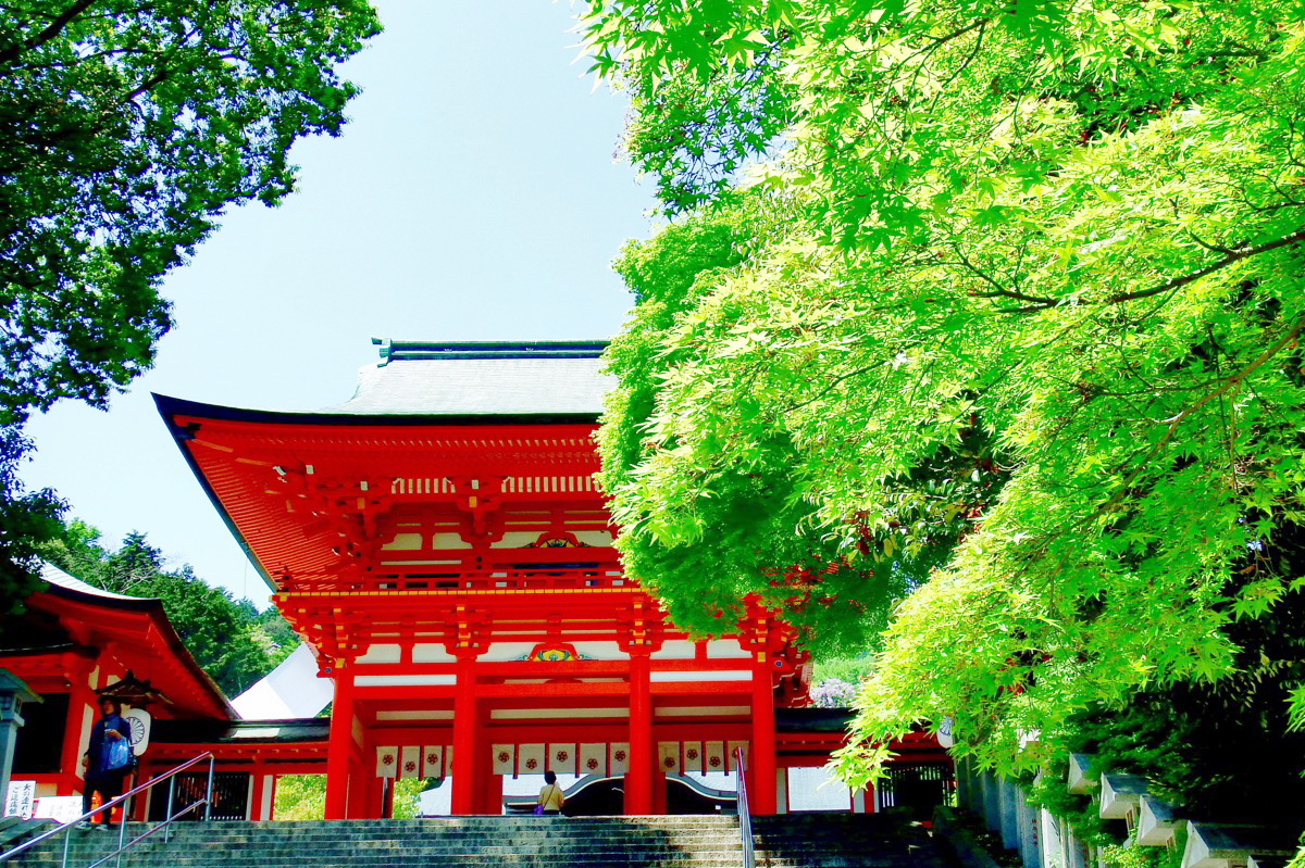 A Journey into the Japanese Aesthetic