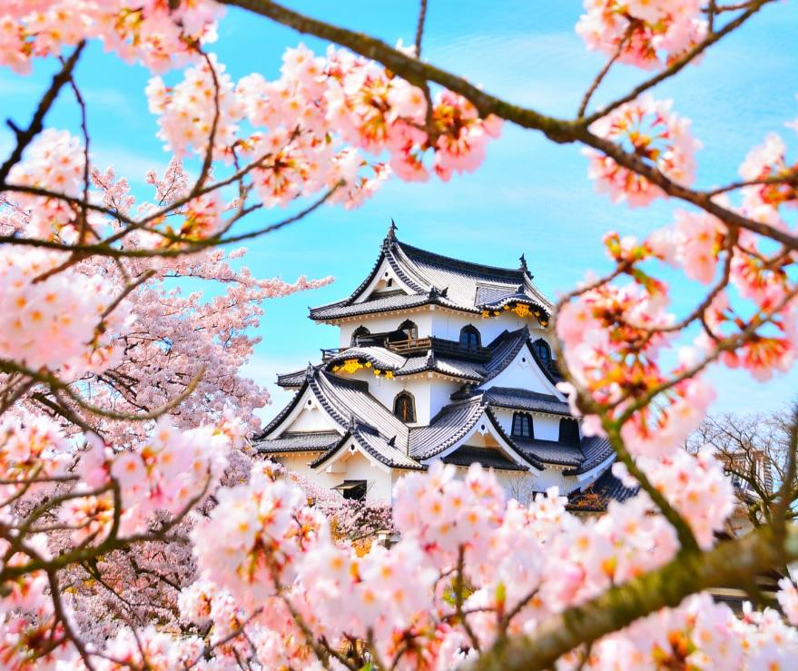 Hikone Castle
