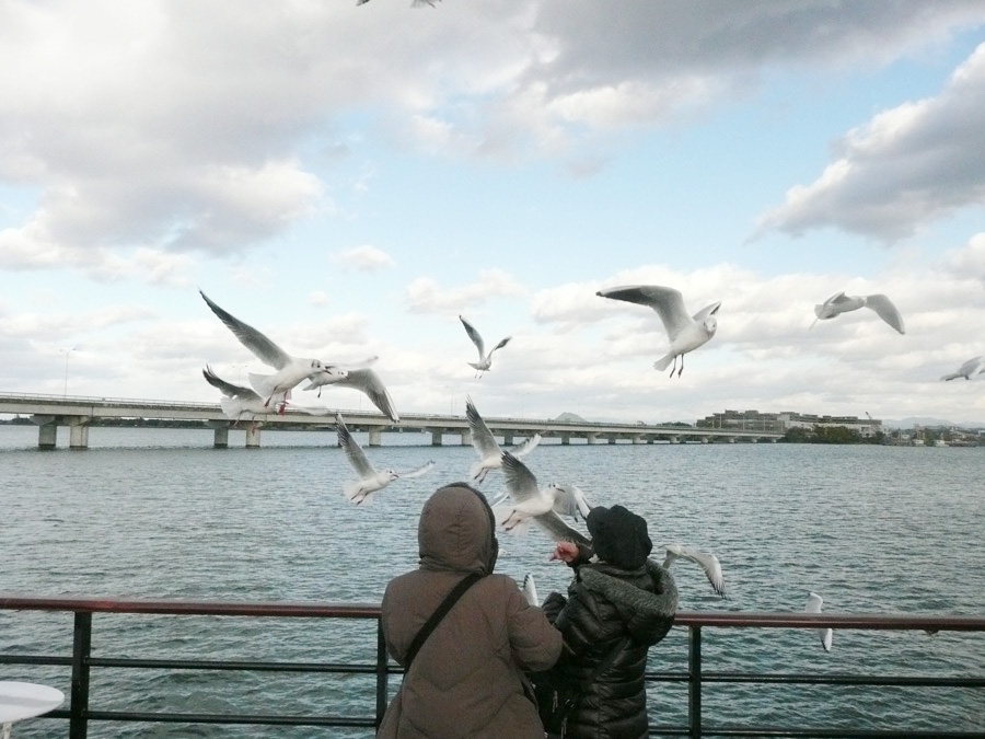 Setagawa River & Lake Biwa River Cruises