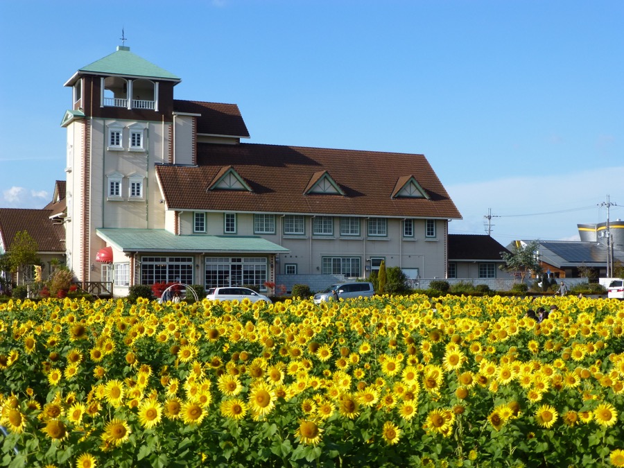 驛站 東近江市愛東瑪格麗特站
