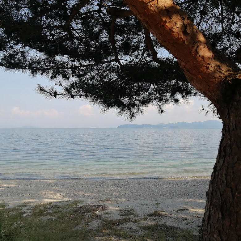 介绍最新的Glamping旅行方式