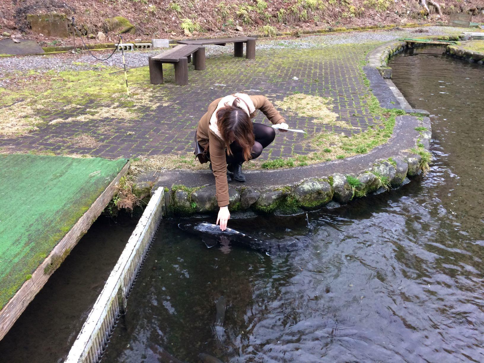 Maibara; Shiga's Hidden Gems