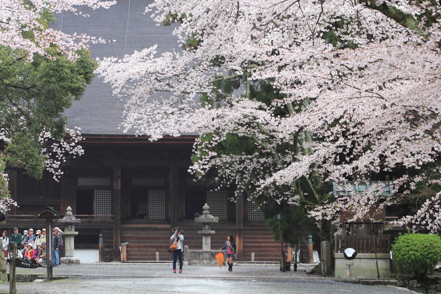 Mii-dera Temple (Onjoji Temple)